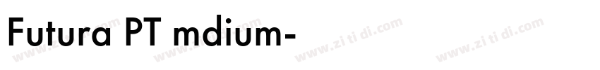 Futura PT mdium字体转换